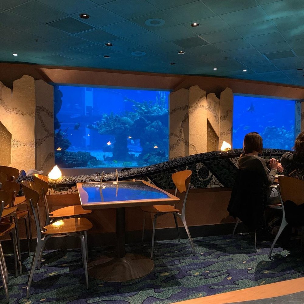 フロリダ ディズニー レストラン 4749 コーラルリーフ・レストラン