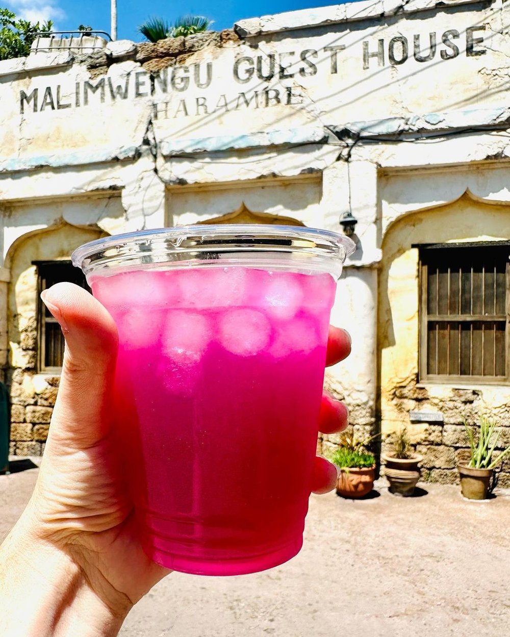 フロリダ ディズニー レストラン 4749 ハランベ・マーケット