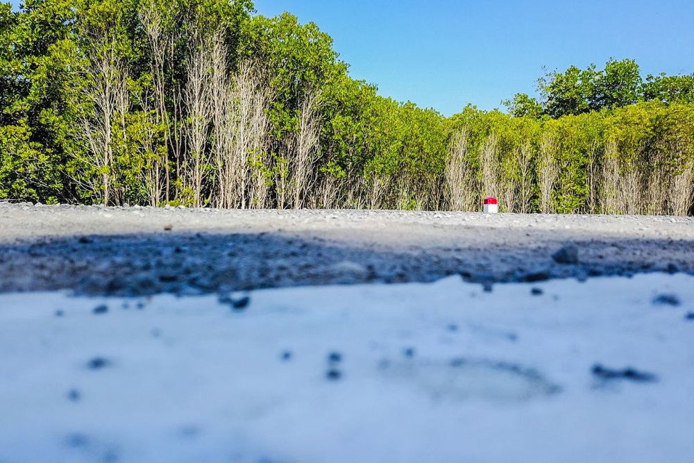 Giới Thiệu Khu Du Lịch Biển Cần Giờ