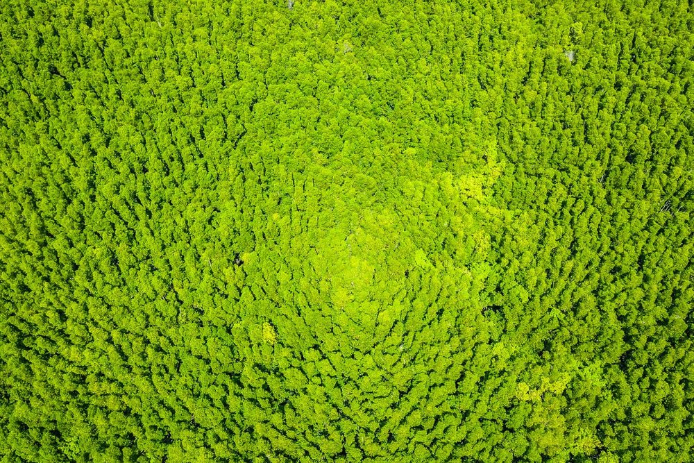 Nên Đi Du Lịch Cần Giờ Vào Tháng Mấy