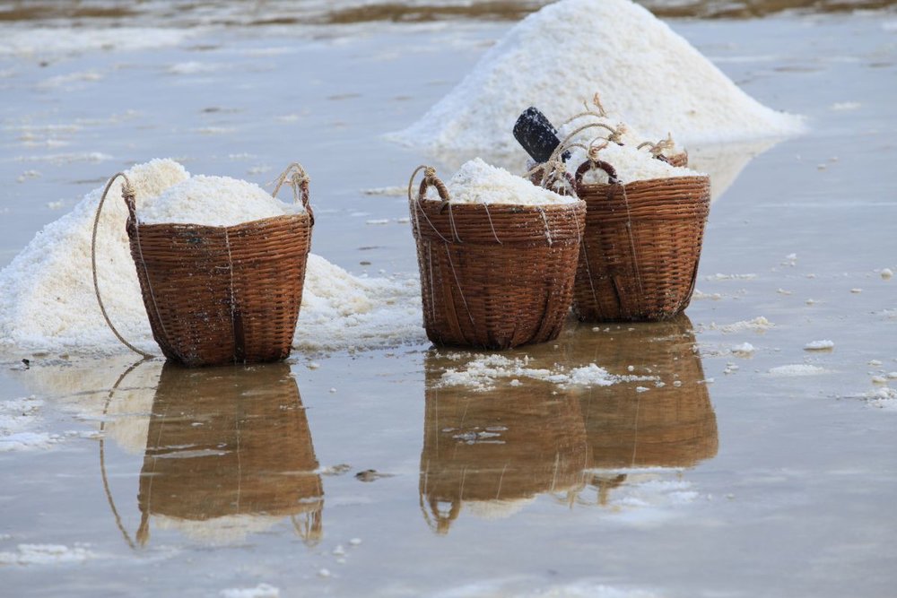 Nên Đi Du Lịch Cần Giờ Vào Tháng Mấy