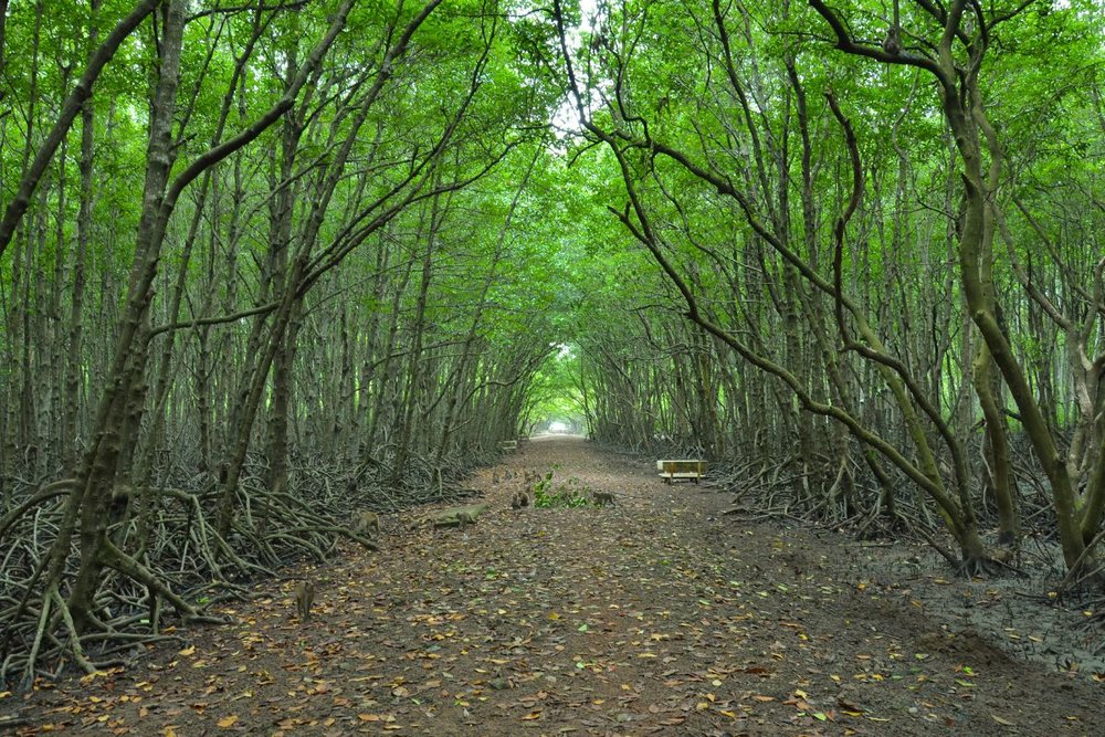 Khu Du Lịch Vàm Sát Cần Giờ
