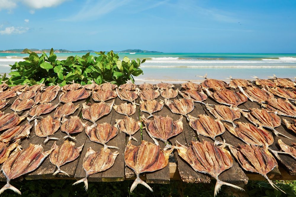 Cá Dứa Một Nắng