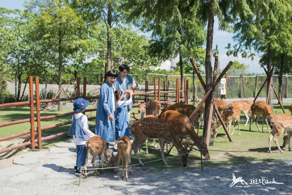 Khu Du Lịch Bambi Land Ở Nghi Lan