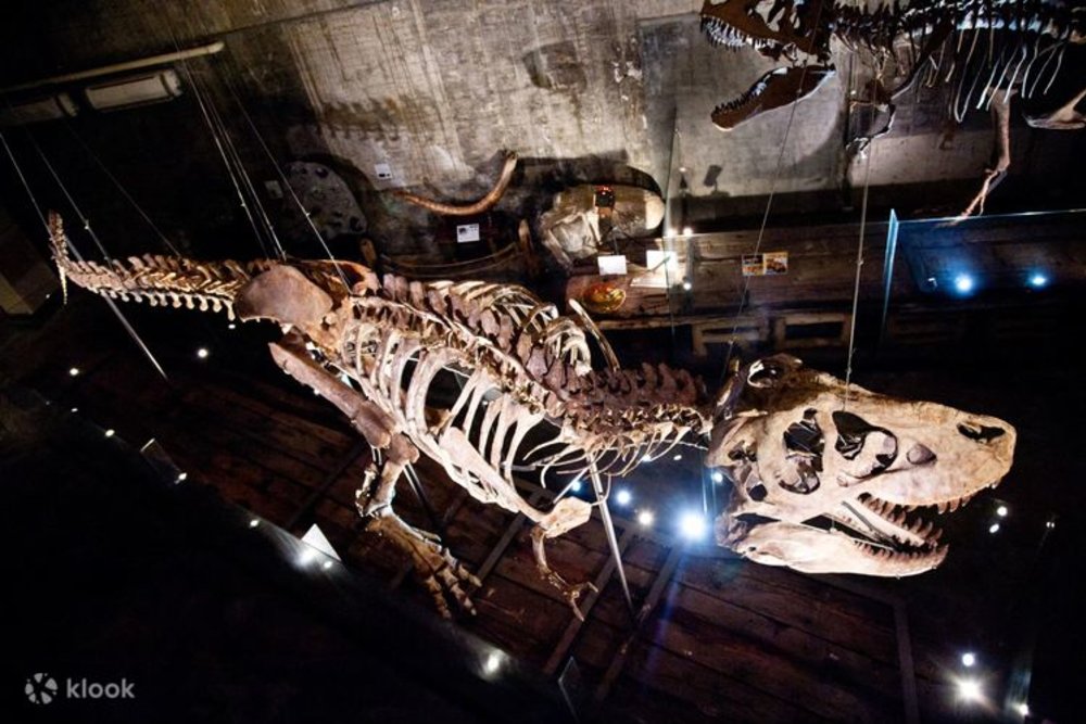 Bảo Tàng Robert Y - Nghi Lan