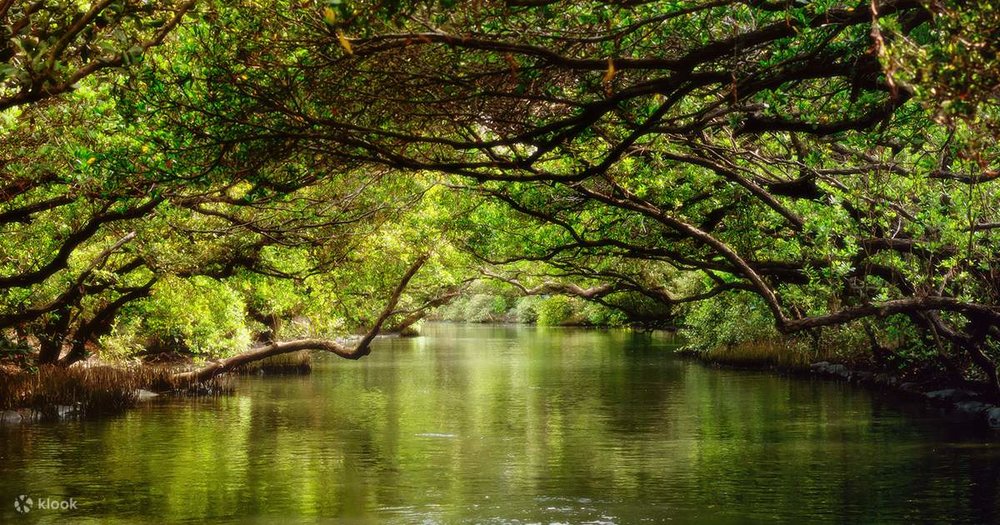  Đường Hầm Xanh Sicao - Đài Nam