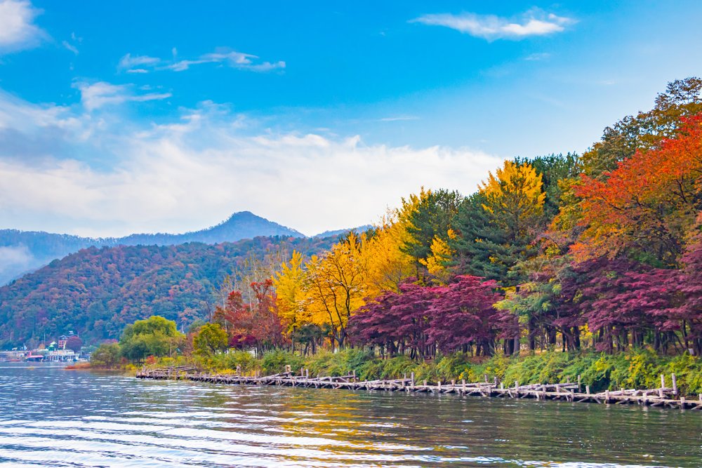 Du Lịch Đảo Nami Mùa Thu: Tháng 9, Tháng 10, Tháng 11