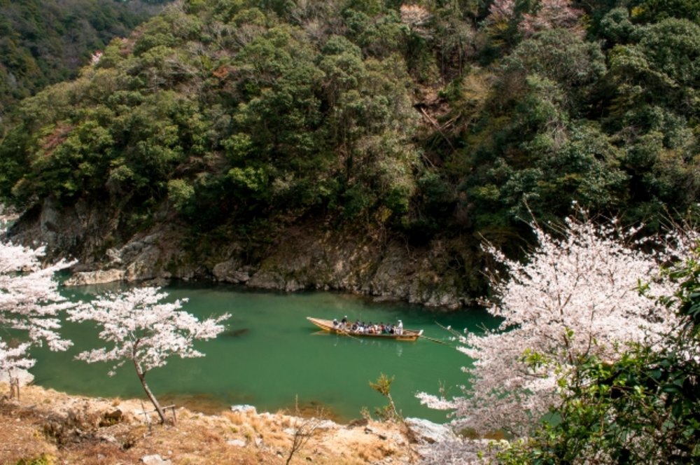京都 保津川下り　春