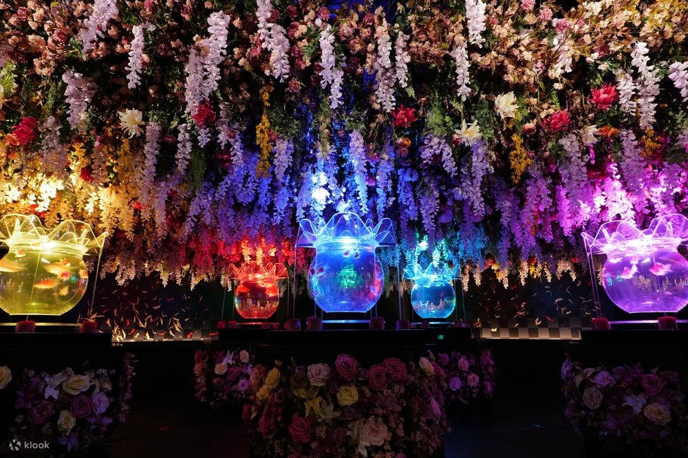 Art Aquarium Museum GINZA