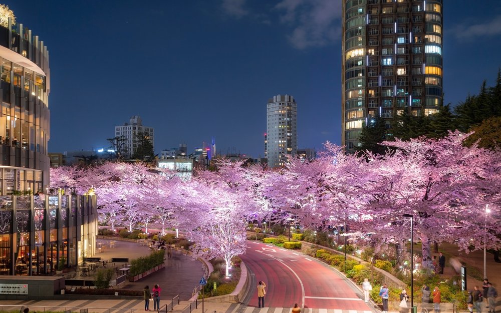 du-lich-tokyo-ve-dem