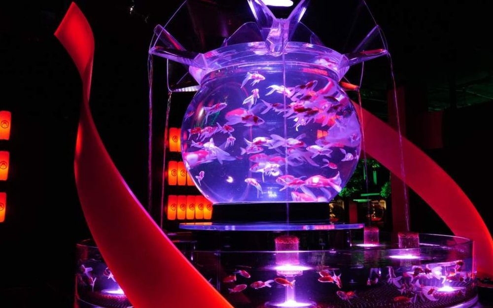 du-lich-tokyo-ve-dem