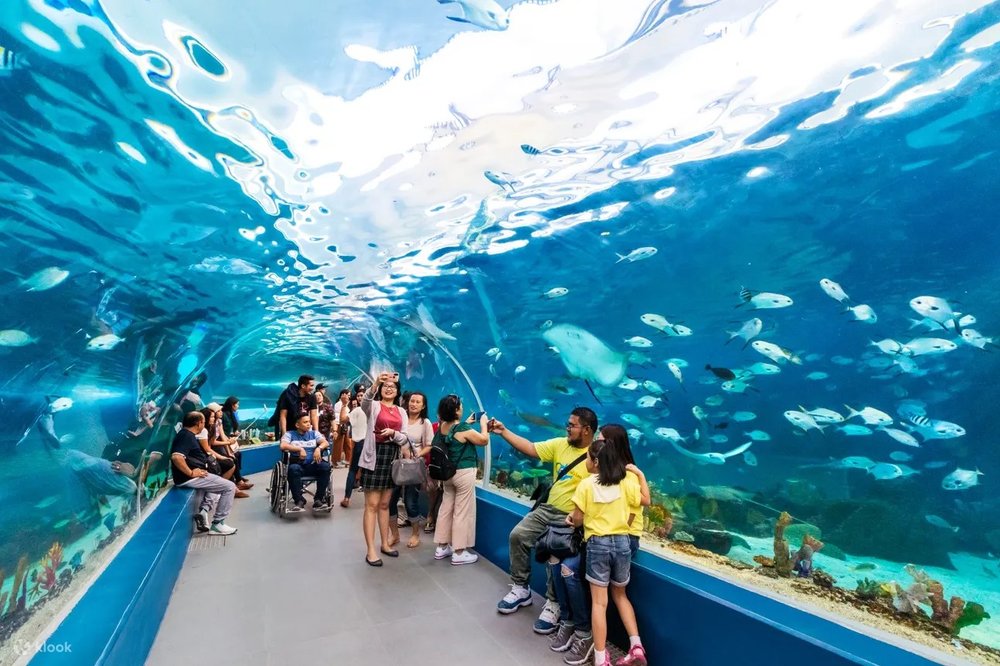 Ocean park aquarium