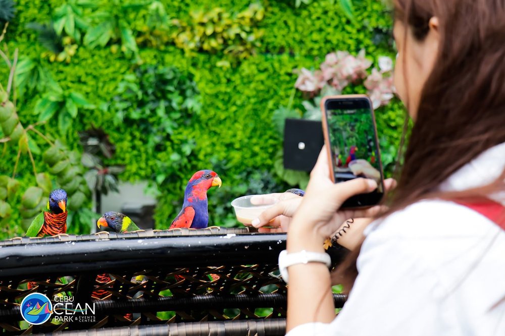 Girl taking a photo of a parrot