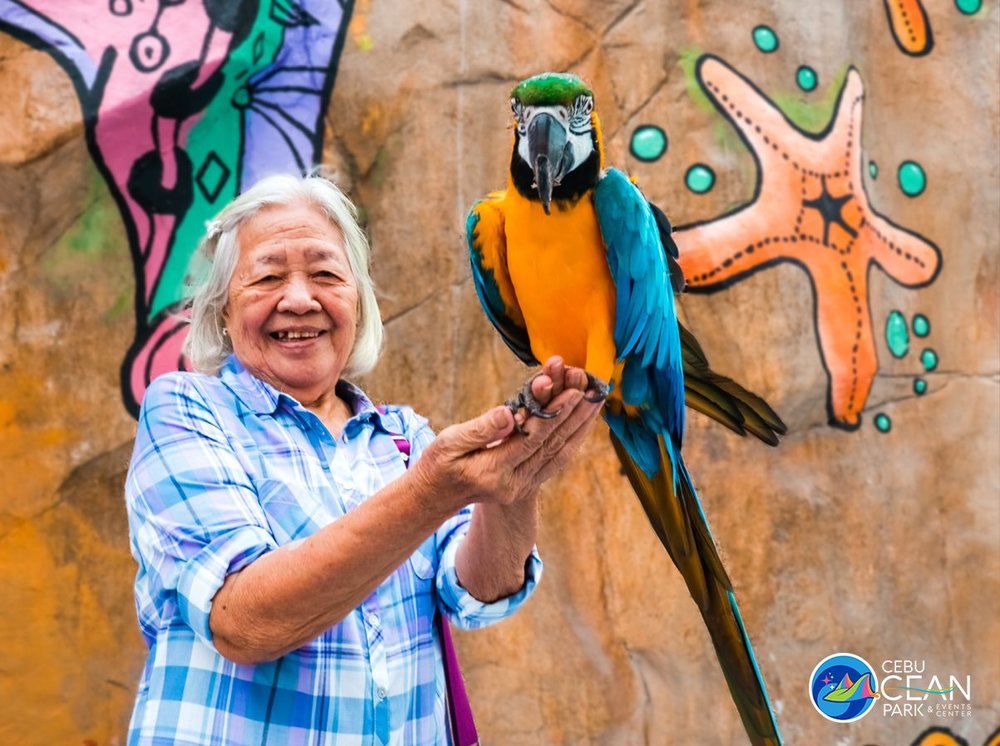 Grandma holding a parrot