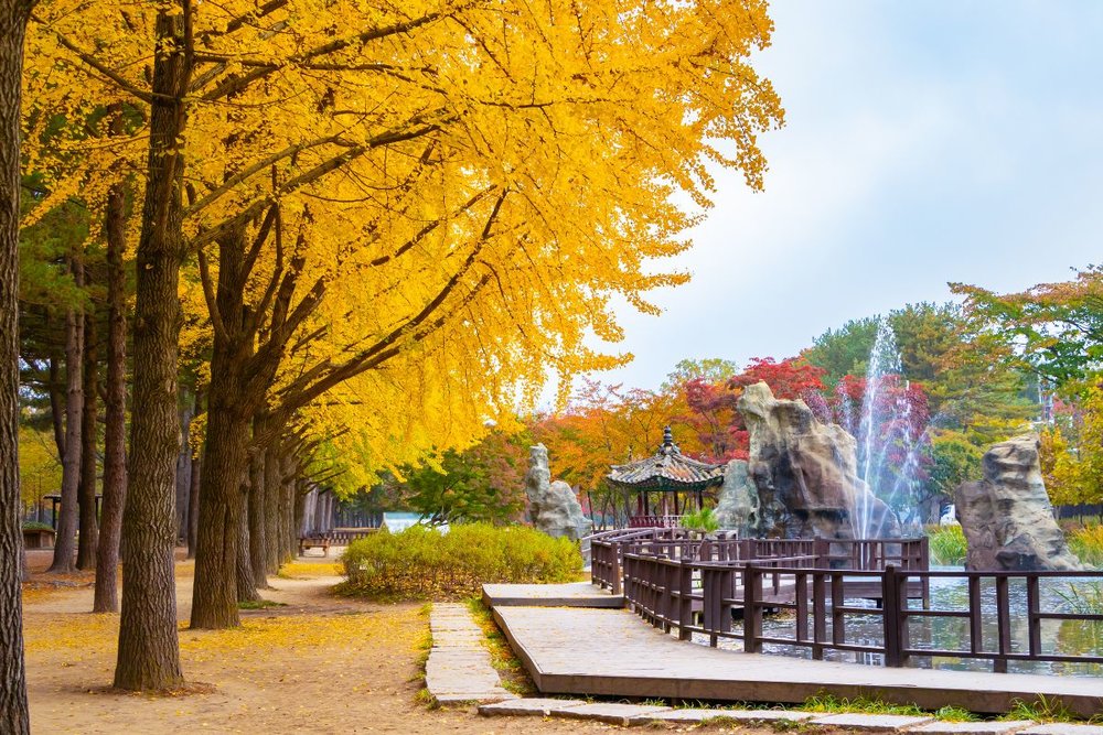 Đi tàu UNICEF Charity Train