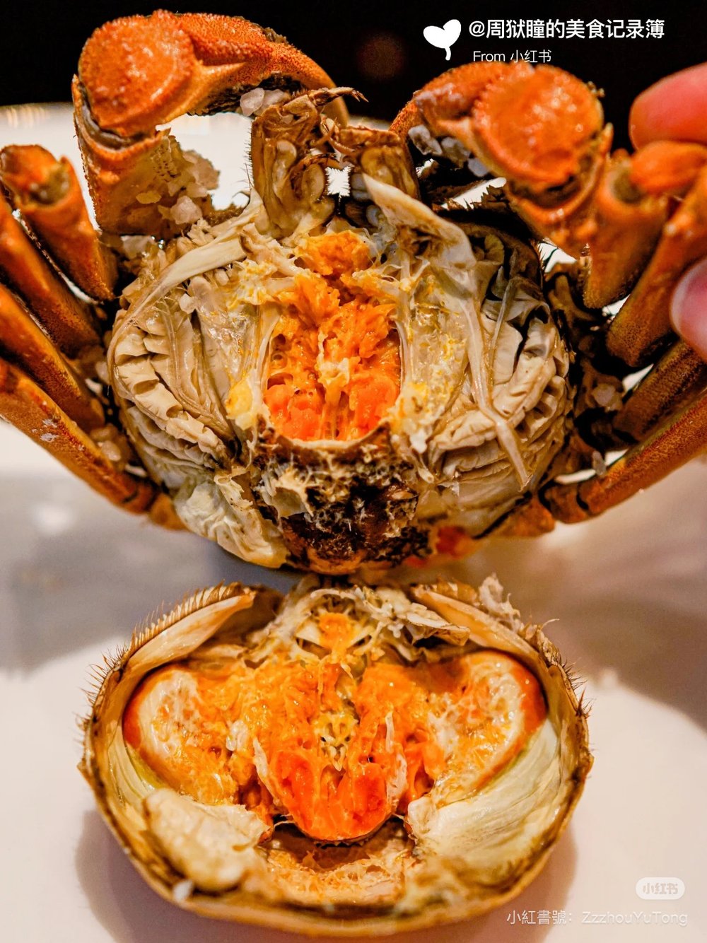 深圳大閘蟹推介, 蟹詠蝦海·新私房菜— 極致大閘蟹盛宴