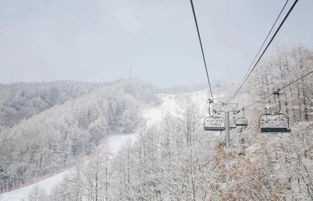  Tour Trượt Tuyết/ Ván & Xe Trượt Tuyết Của Elysian - Tour Trong Ngày Từ Seoul