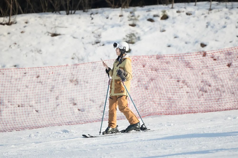 Tour Ngày Trượt Tuyết Vivaldi Mùa Đông / Thung Lũng Eobi / Đảo Nami Từ Seoul