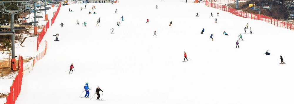 Tour Ngày Trượt Tuyết Mùa Đông Rừng Jisan Từ Seoul