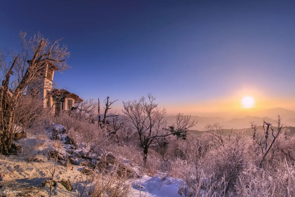  Chuyến Đi 2 Ngày 1 Đêm Tại Khu Nghỉ Dưỡng Trượt Tuyết Yongpyong Từ Seoul