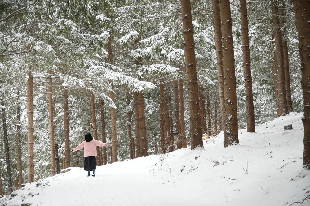 Tour Ngày Trượt Tuyết Tại Busan Eden Valley