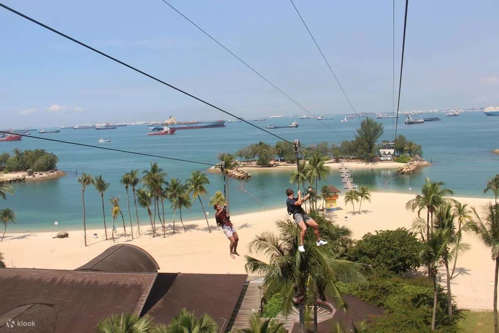 Đu dây xuyên qua rừng với trò Megazip