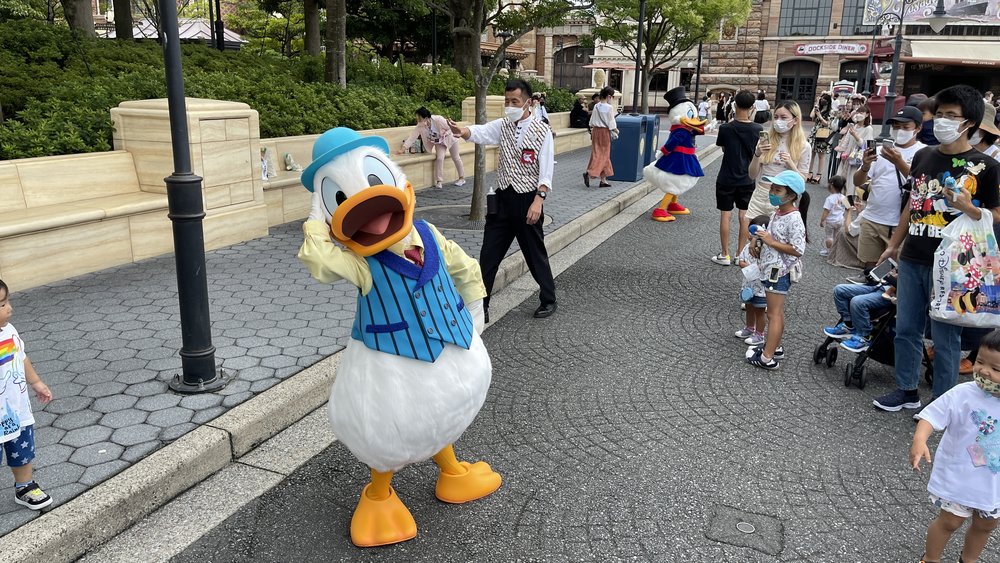 tokyo disney resort donald duck