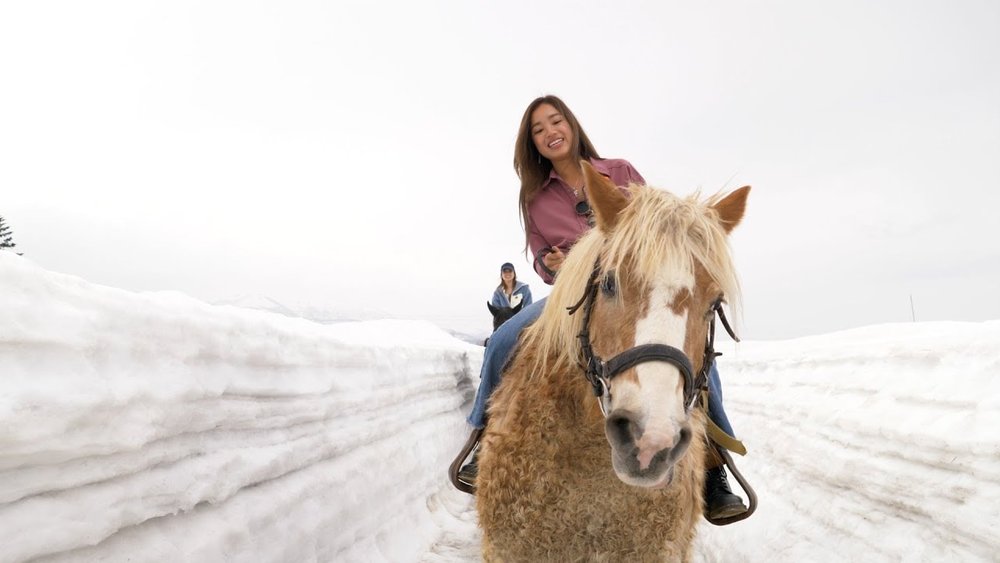 Horse Riding - Niseko Tourism