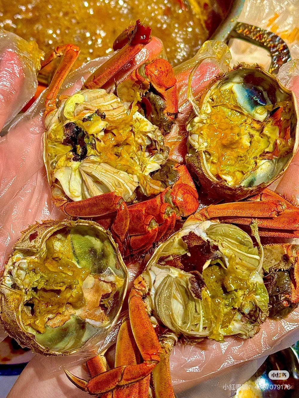 深圳大閘蟹, 曼格海鮮自助西餐廳—任食大閘蟹鮑魚