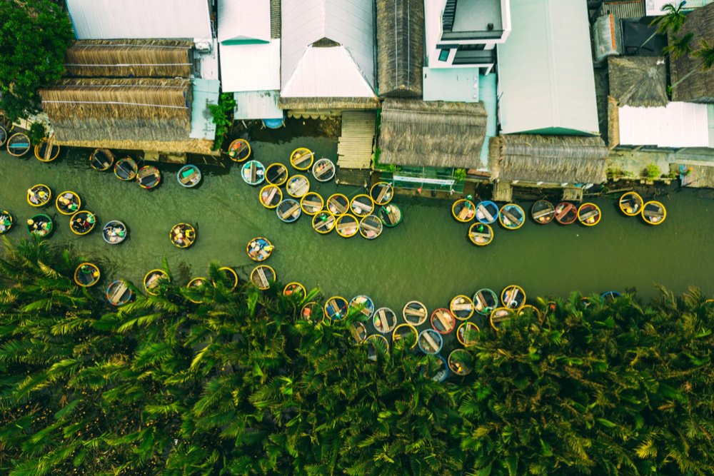Aerial view of Bay Mau Coconut forest