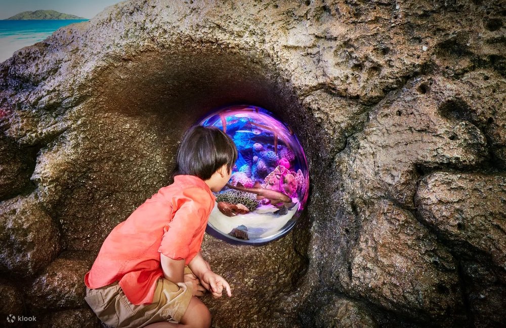 Tầng Hầm - SEA LIFE Bangkok Ocean World