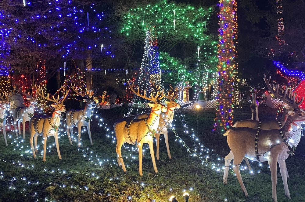 Stanley Park Bright Nights