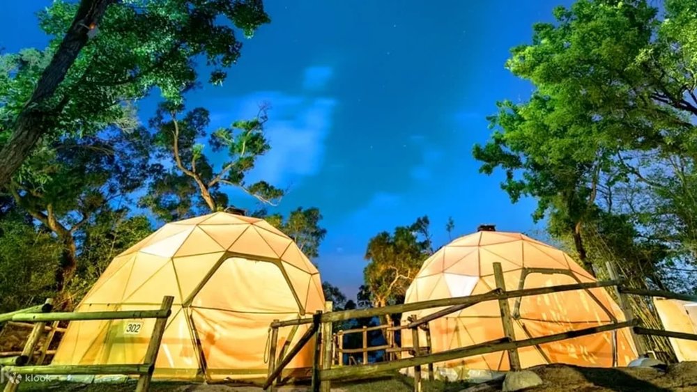 family friendly things to do in hong kong glamping