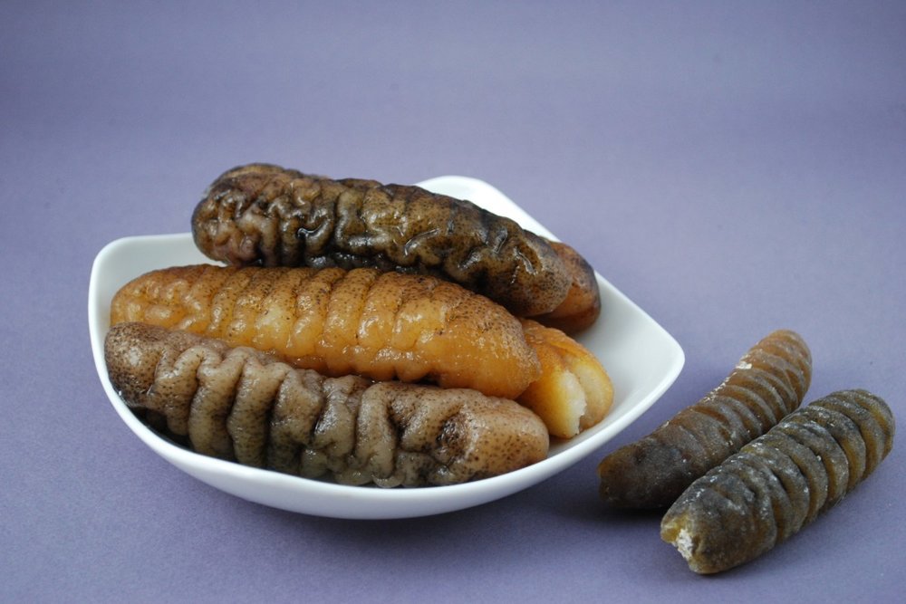  Ruột Hải Sâm Muối