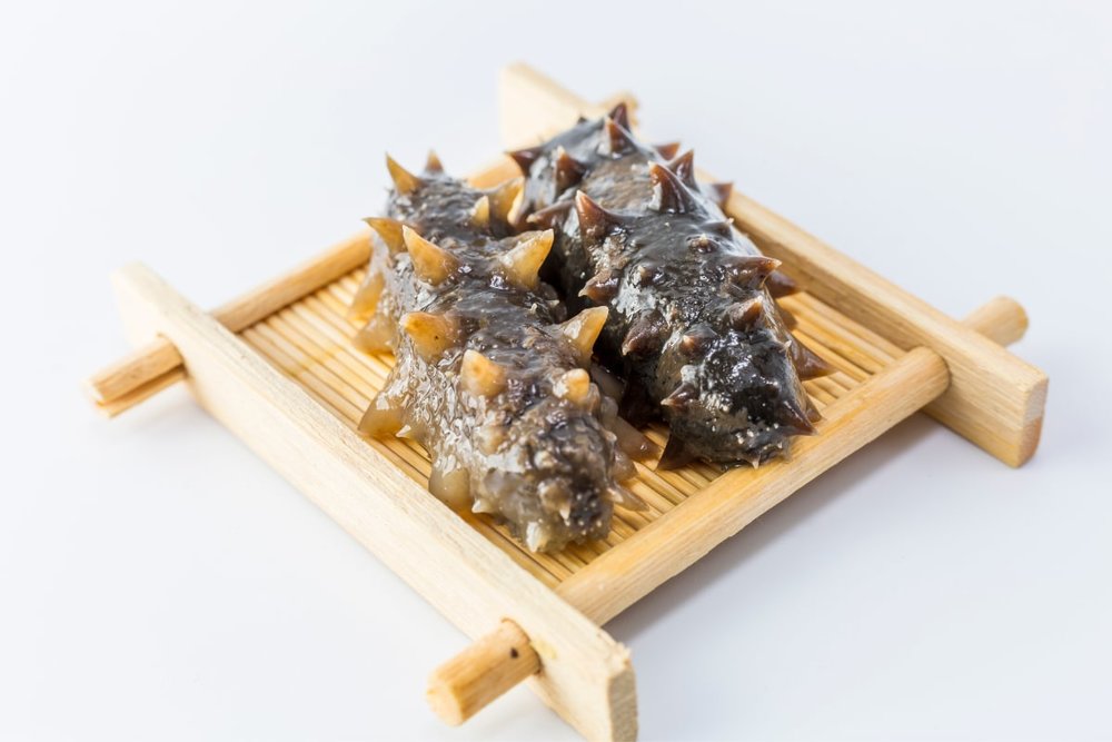 Bầu Nhụy Hải Sâm Kuchiko