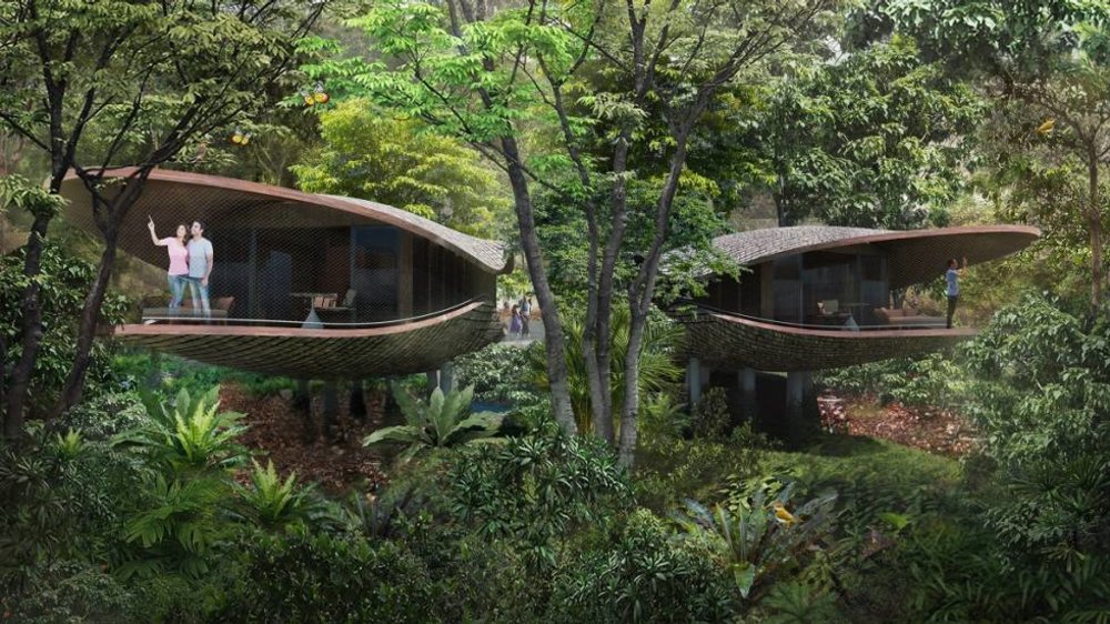  Khu Bảo Tồn Động Vật Mandai Singapore