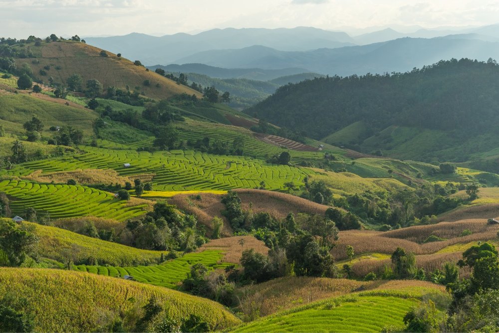 Đạp Xe Khám Phá Chiang Mai Của Trailhead