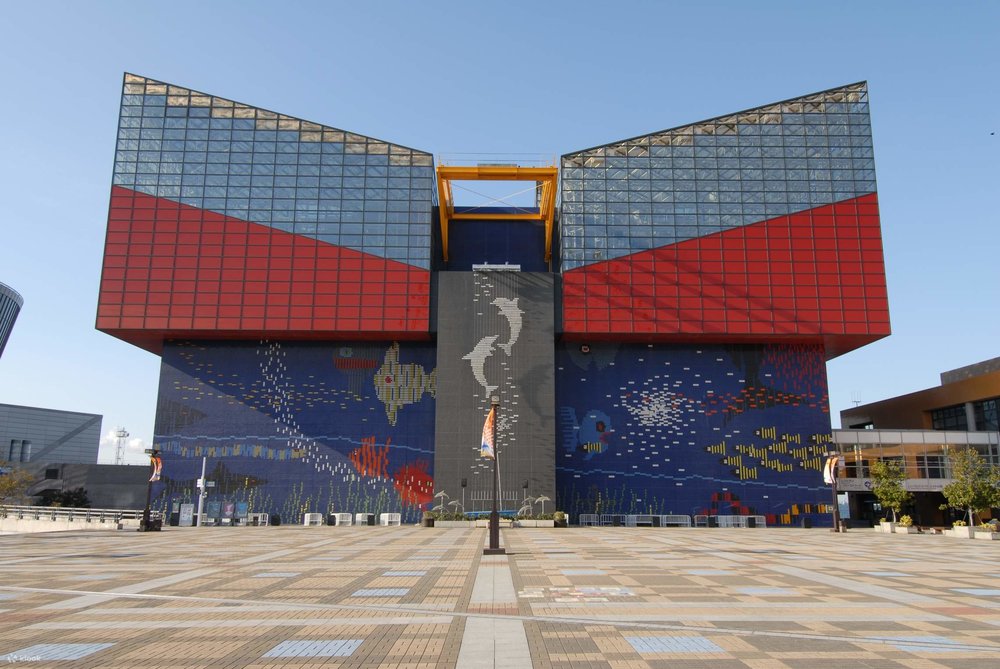 Thời Điểm Lý Tưởng Để Tham Quan Thủy Cung Kaiyukan