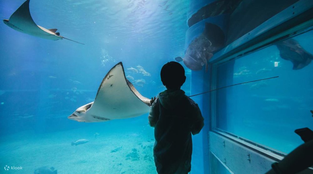  Xem Các Triển Lãm Cố Định