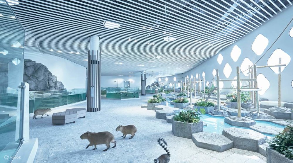  Công Viên Thuỷ Cung Tương Tác NIFREL