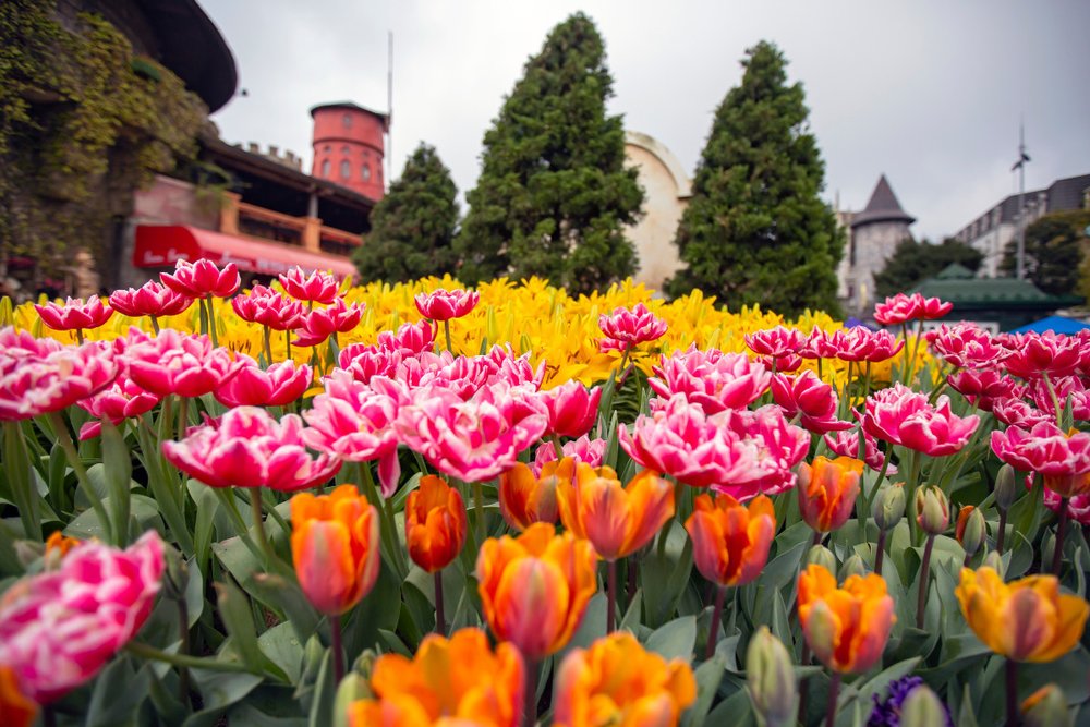 gia-ve-cap-treo-ba-na-hills