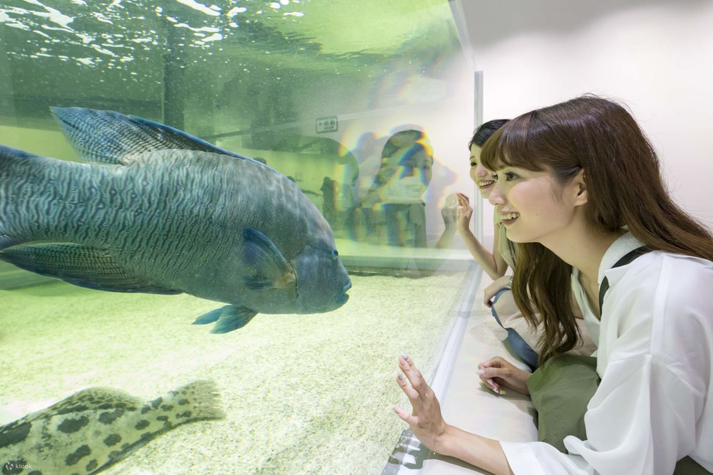 Công Viên Thuỷ Cung Tương Tác NIFREL