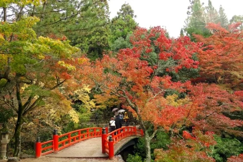 宮島紅葉谷公園