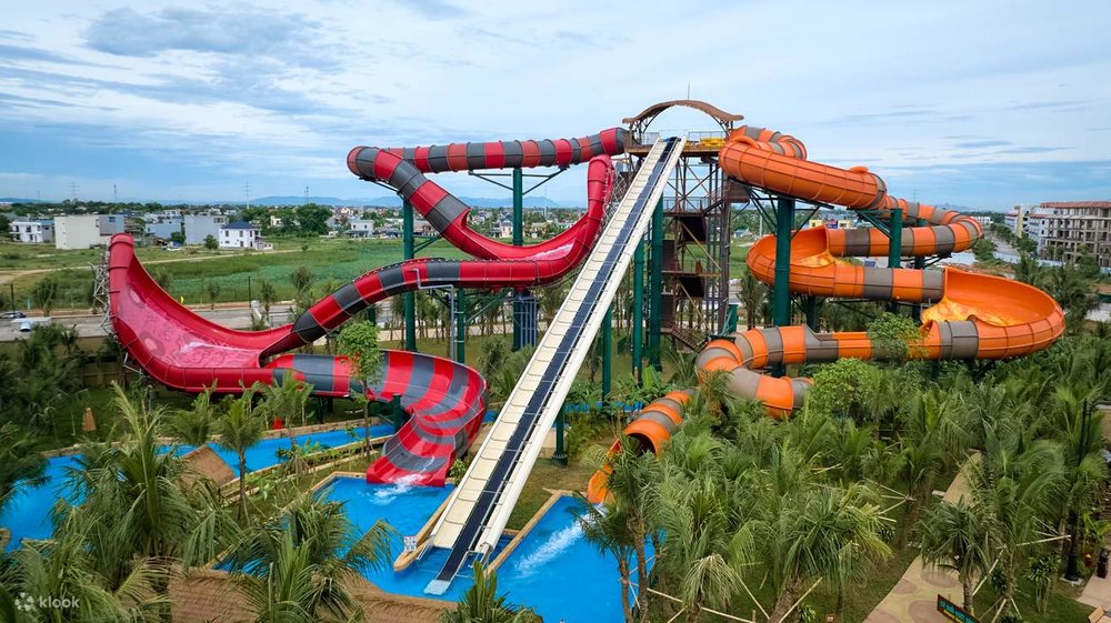 Tổ Hợp Hàm Cá Mập Cho Cả Gia Đình