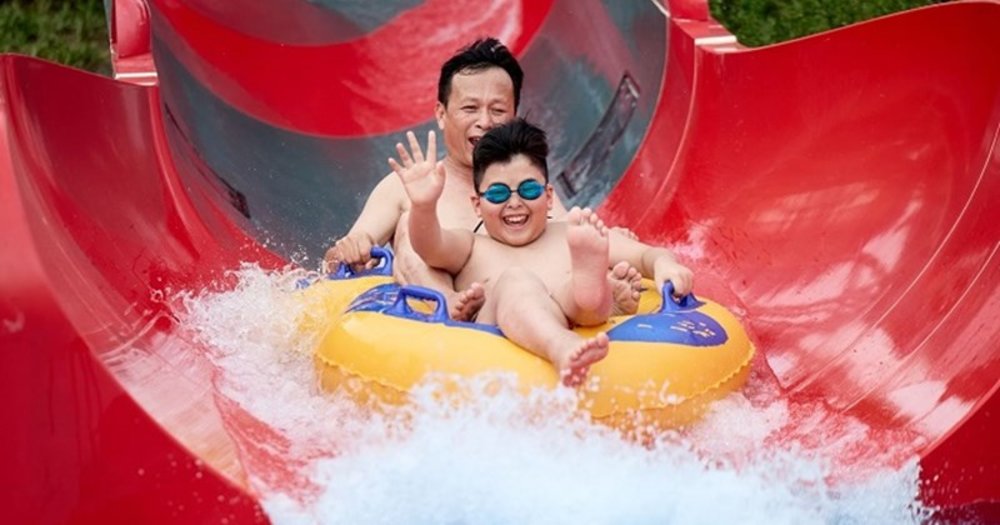 Tổ Hợp Hàm Cá Mập Cho Cả Gia Đình