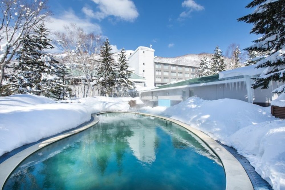 Niseko Ski Resort Hokkaido Japan - Green Leaf Niseko Village