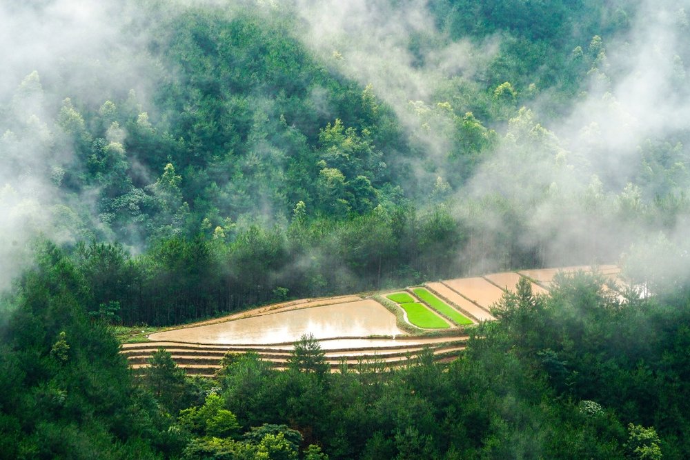 Du Lịch Bình Liêu Trong Tháng 10 - Ngỡ Ngàng Trước Thiên Nhiên Việt Nam Tuyệt Đẹp