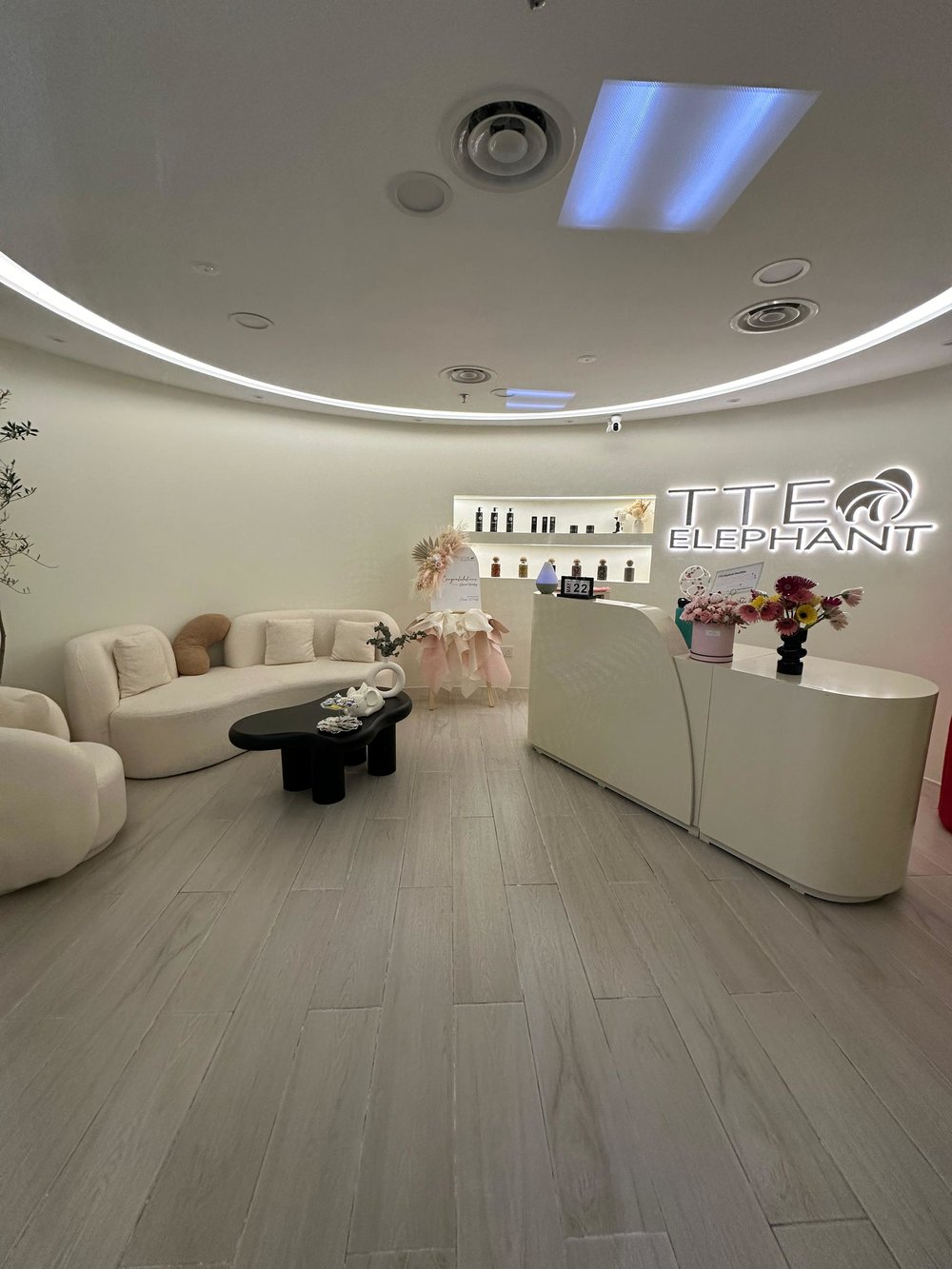 TTE Elephant Headspa, Kuala Lumpur