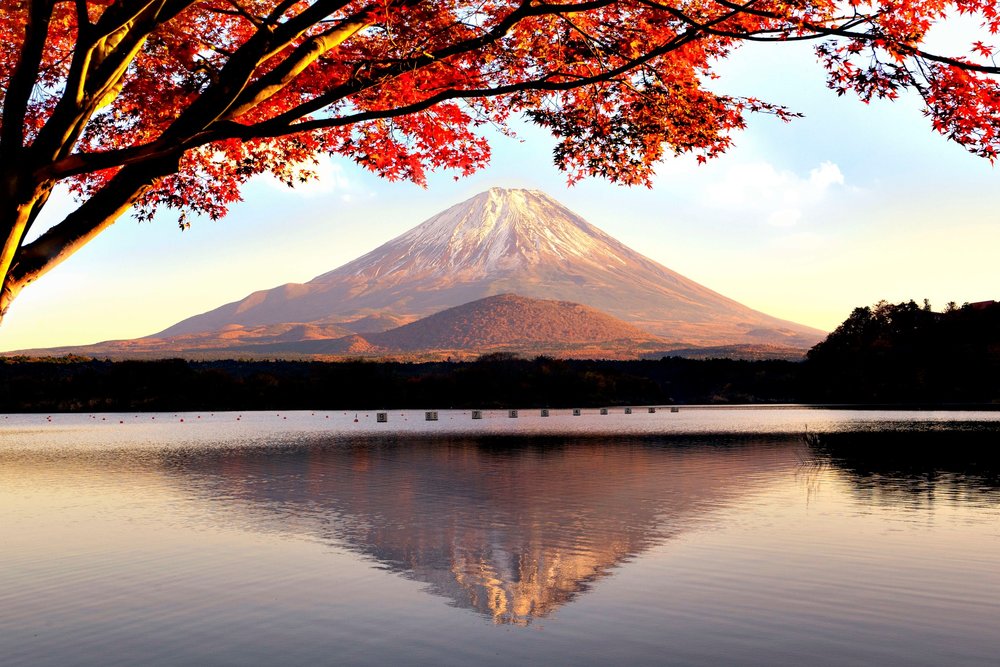 mt fuji road trip itinerary Lake Shoji