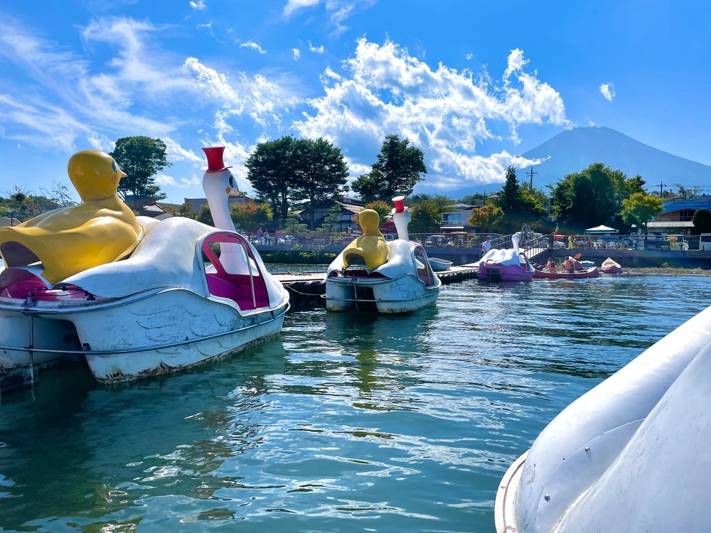 mt fuji road trip itinerary Yamanakako Hananomiyako Park